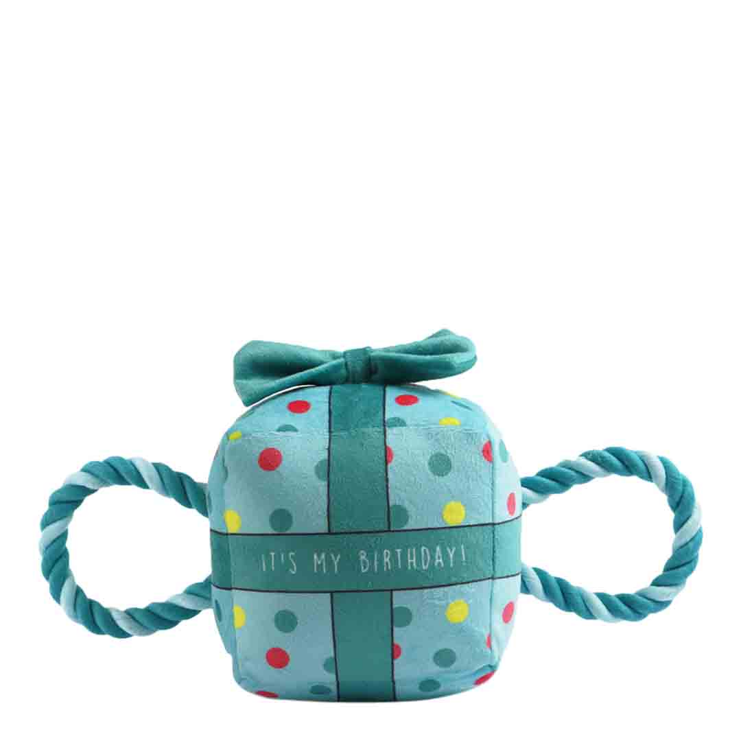 Ancol 'It’s My Birthday' Blue Present Small Dog Toy