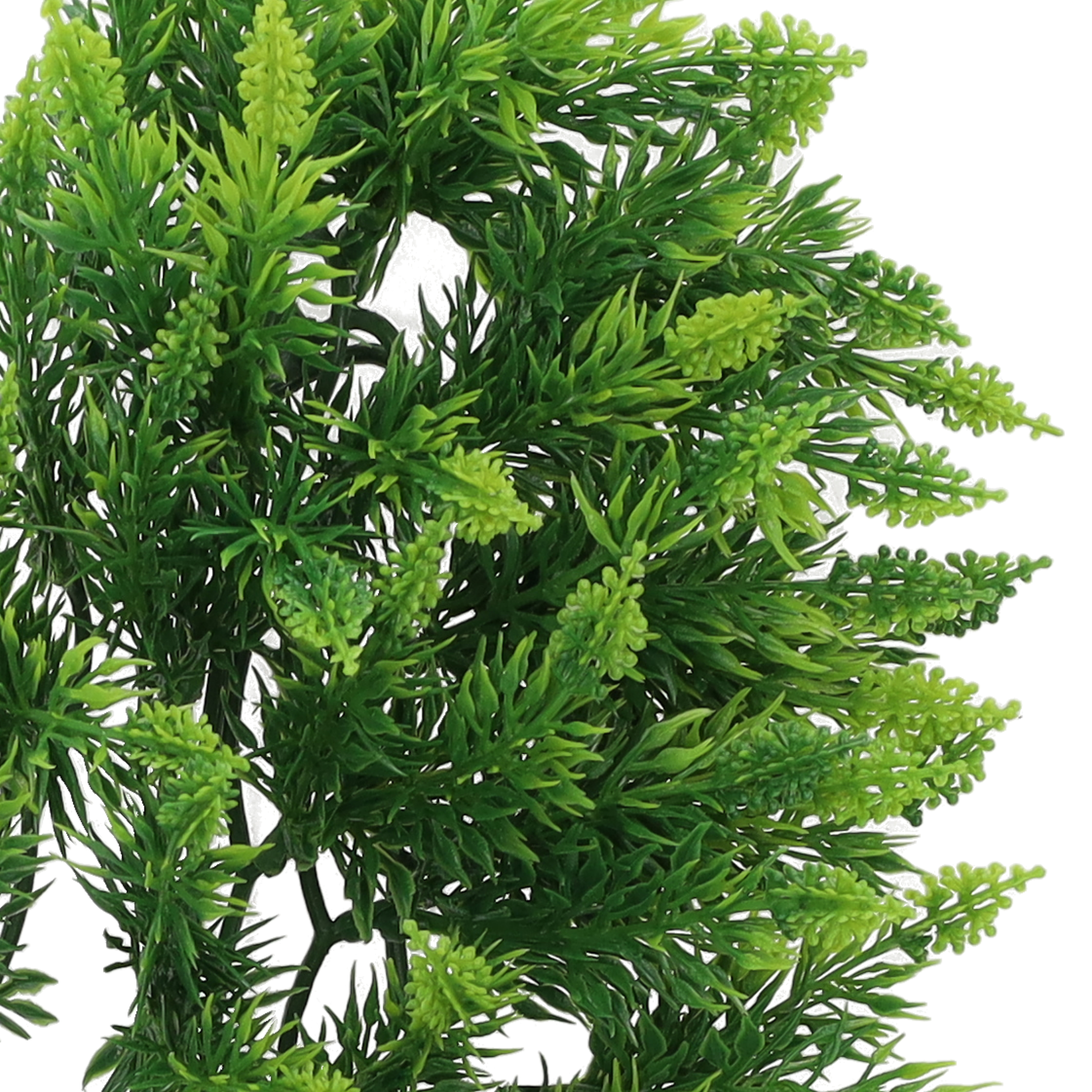 Zoo Med Malaysian Fern Reptile Viv-Clean