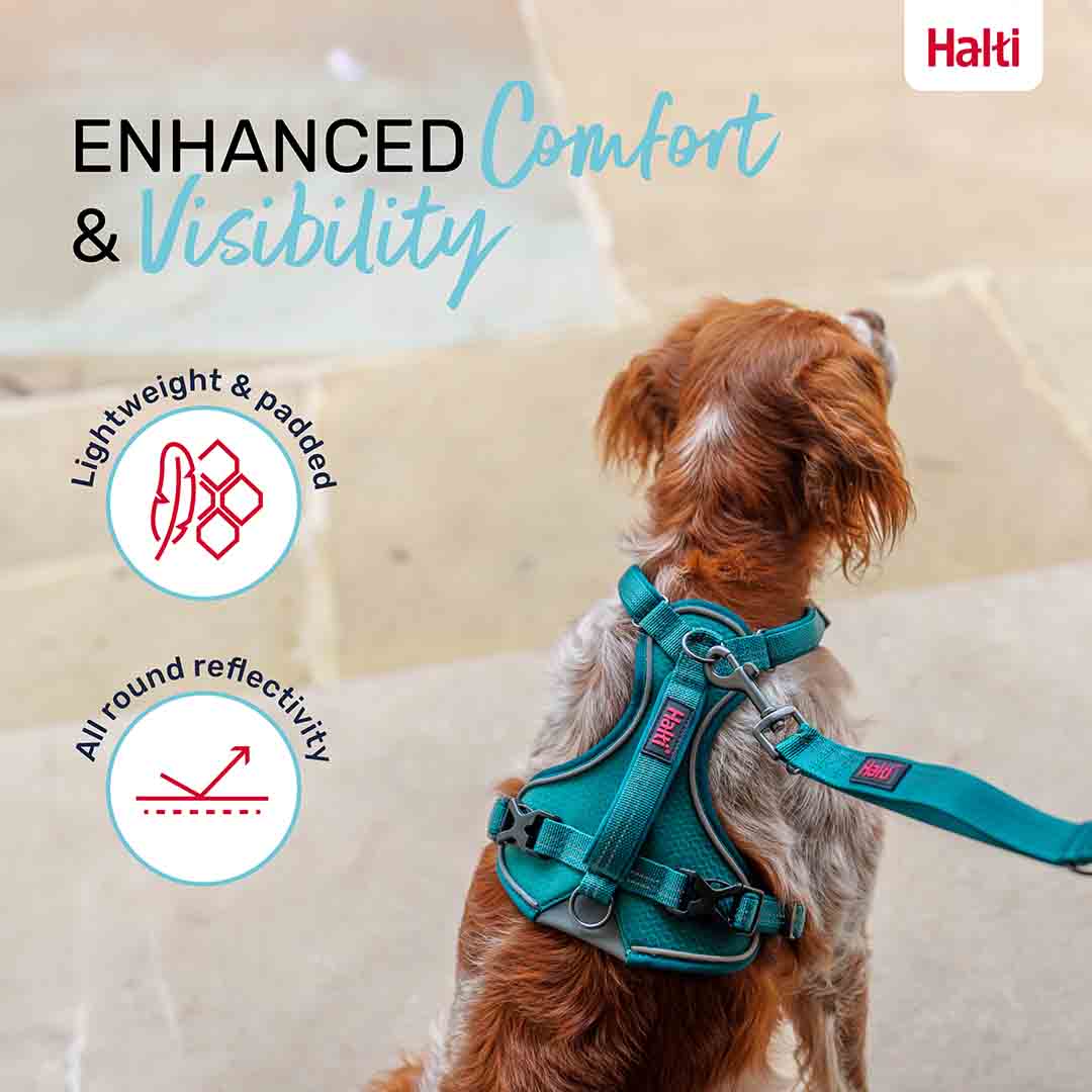 Halti Anatomy Dog Harness Teal X-Small