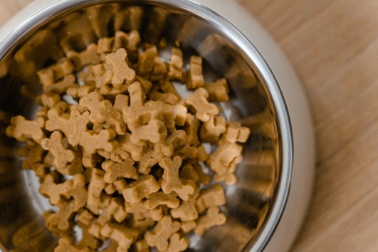  Choose The Right Food For Your Pet