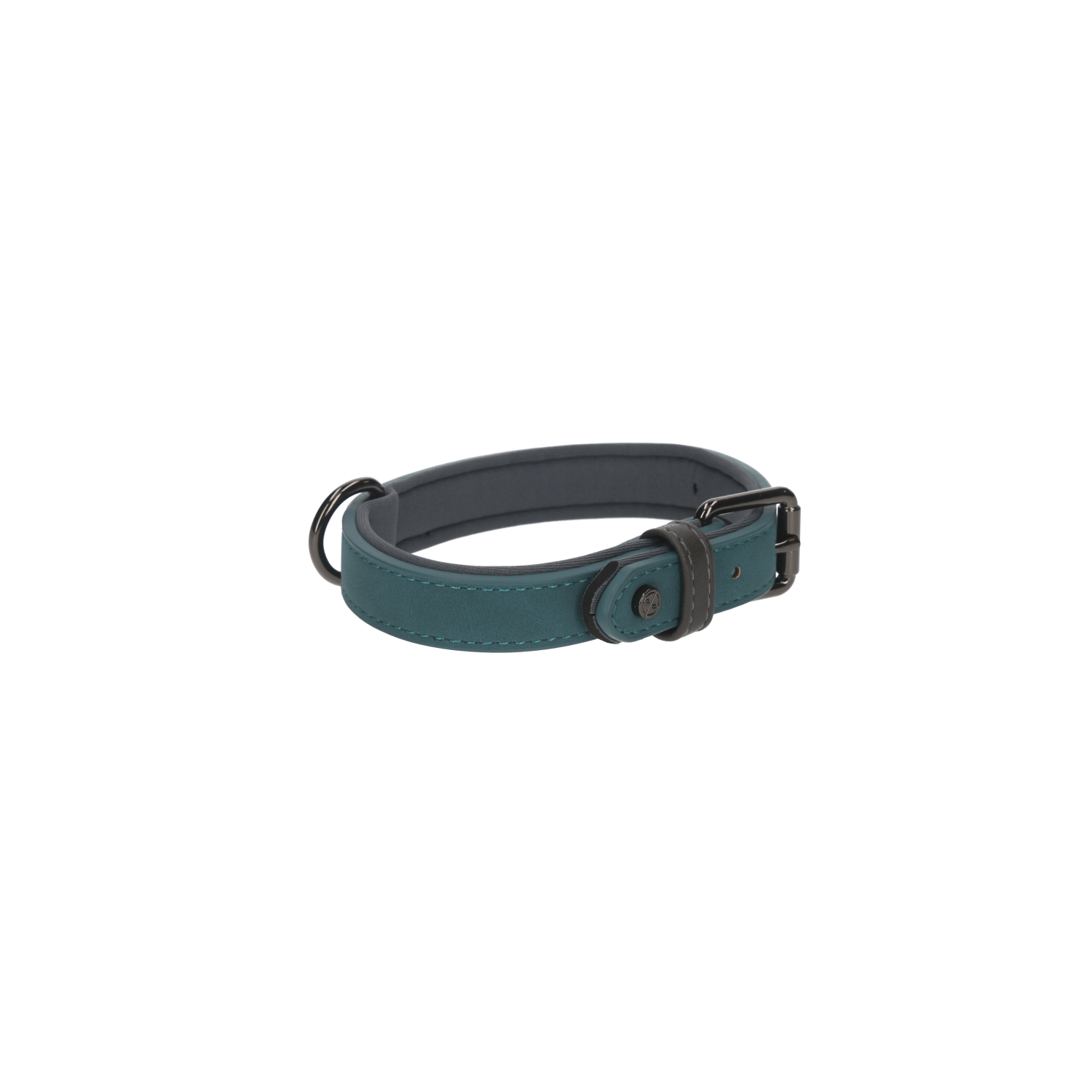 Rufus & Rosie Sotnos Brights Tech Small Dog Collar, Teal