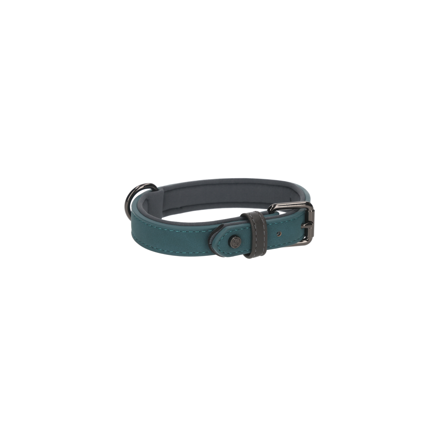 Rufus & Rosie Sotnos Brights Tech Small Dog Collar, Teal