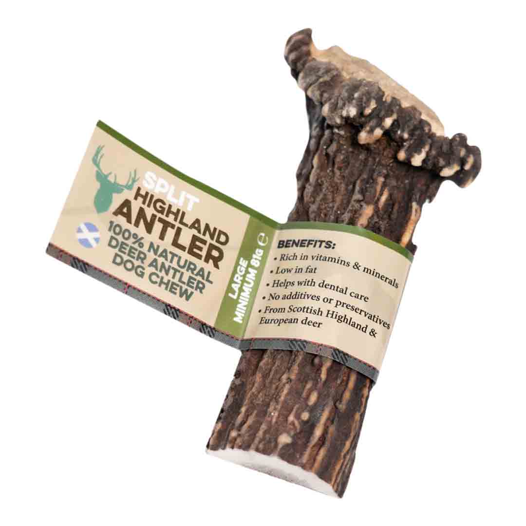 Split Antler, Large