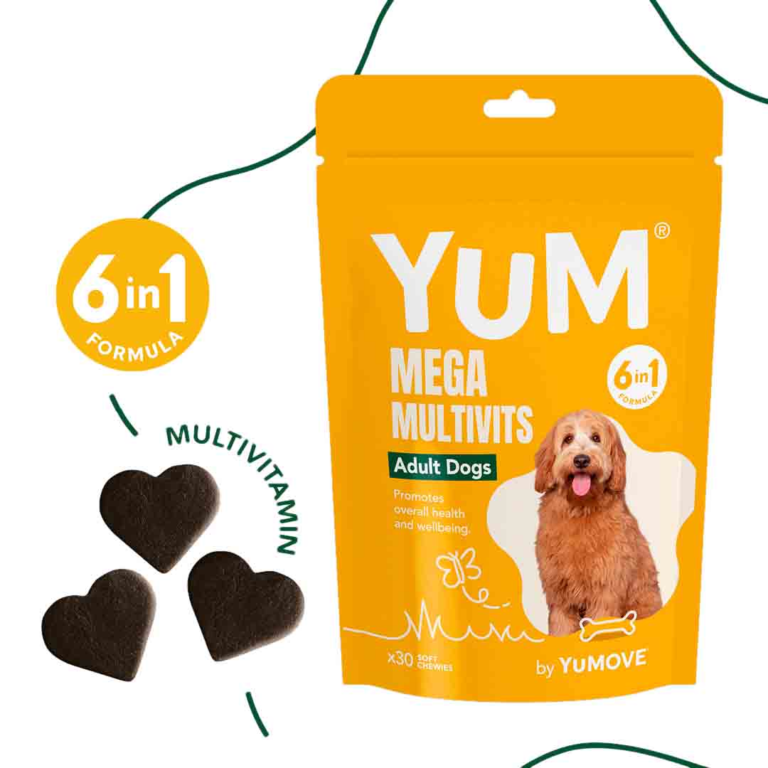 YuCARE Mega MultiVits Supplement for Adult Dogs