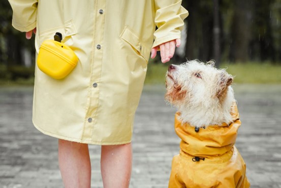 Dog wearing raincoat sat next to owner wearing rain coat.