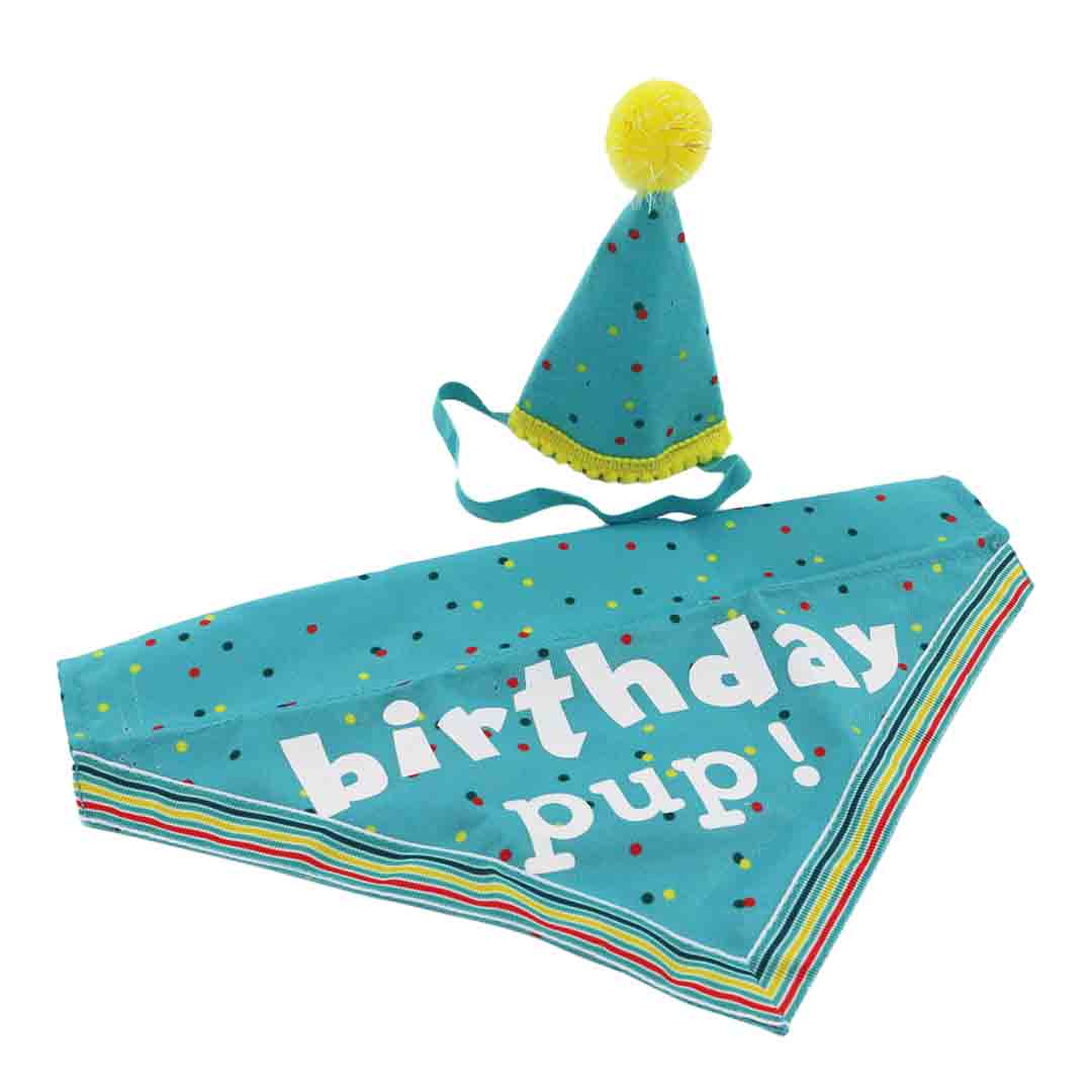 Ancol 'Its My Birthday' Blue Hat and Bandana Dog Accessory