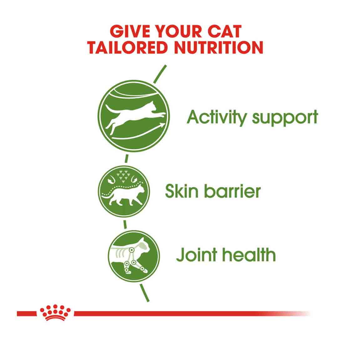 Royal Canin Outdoor 30 Dry Cat Food, 400g