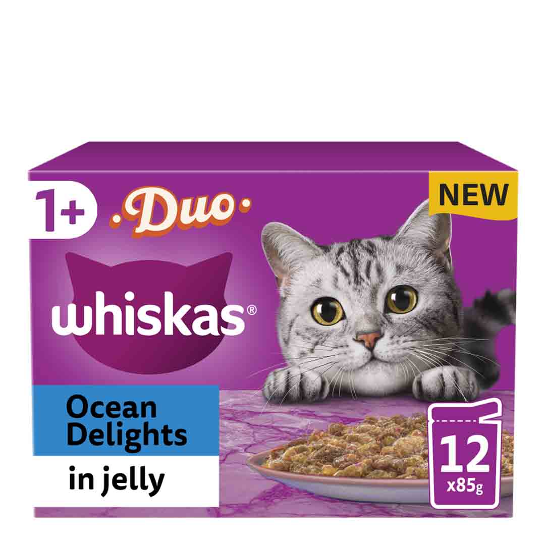 Whiskas Duo Ocean Delights in Jelly 1+ Adult Wet Cat Food Pouches, 12 x 85g