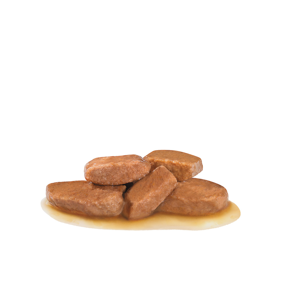 Royal Canin Renal Adult Wet Dog Food Thin Slices In Gravy 48x100g
