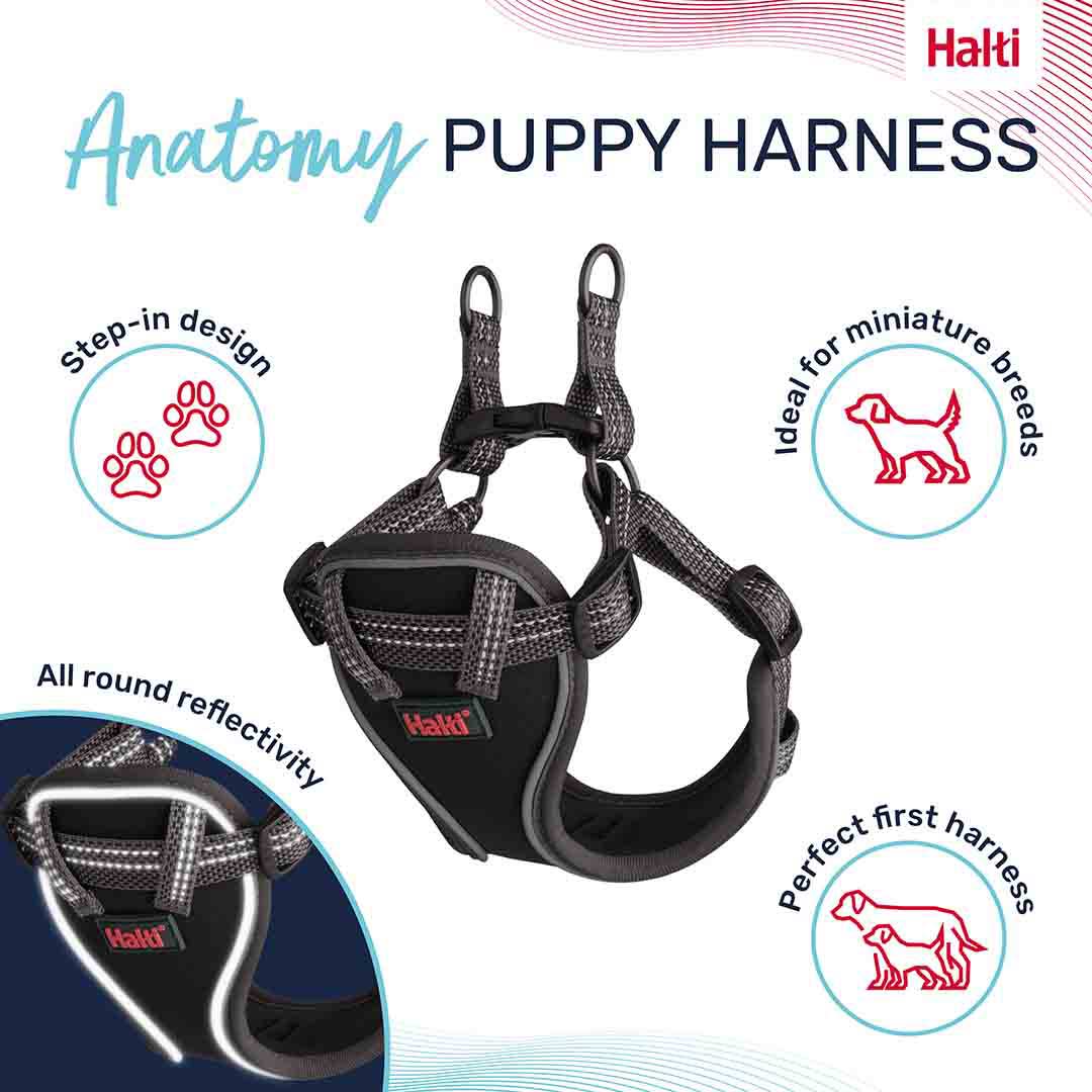 Halti Anatomy Puppy Harness Grey X-Small