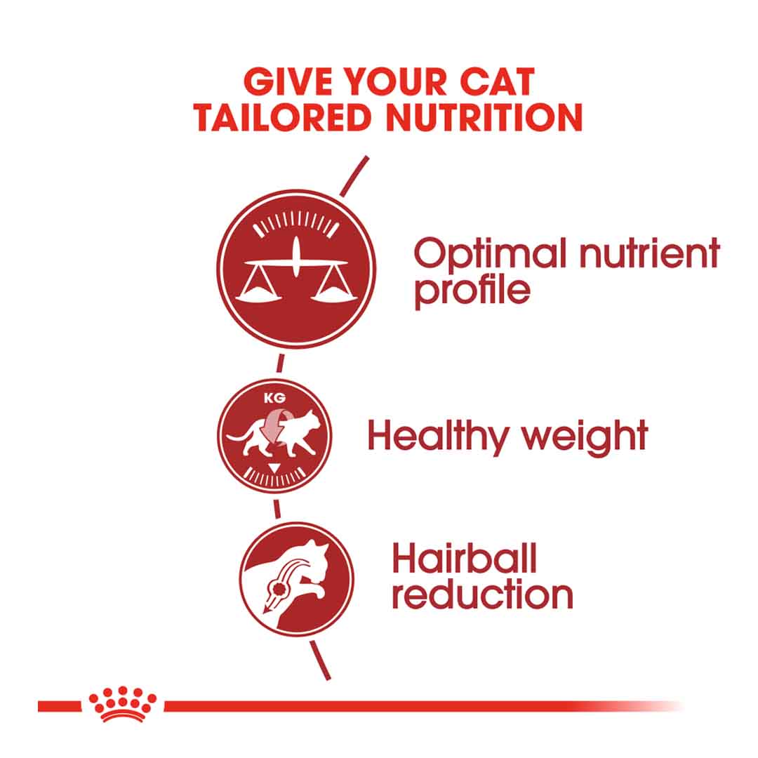 Royal Canin Fit 32 Dry Cat Food, 2kg