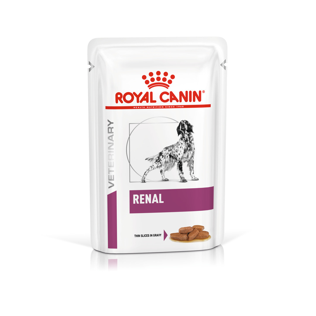 Royal Canin Renal Adult Wet Dog Food Thin Slices In Gravy 48x100g