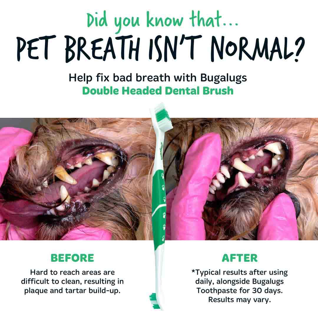 Bugalugs Double-Ended Dog Toothbrush