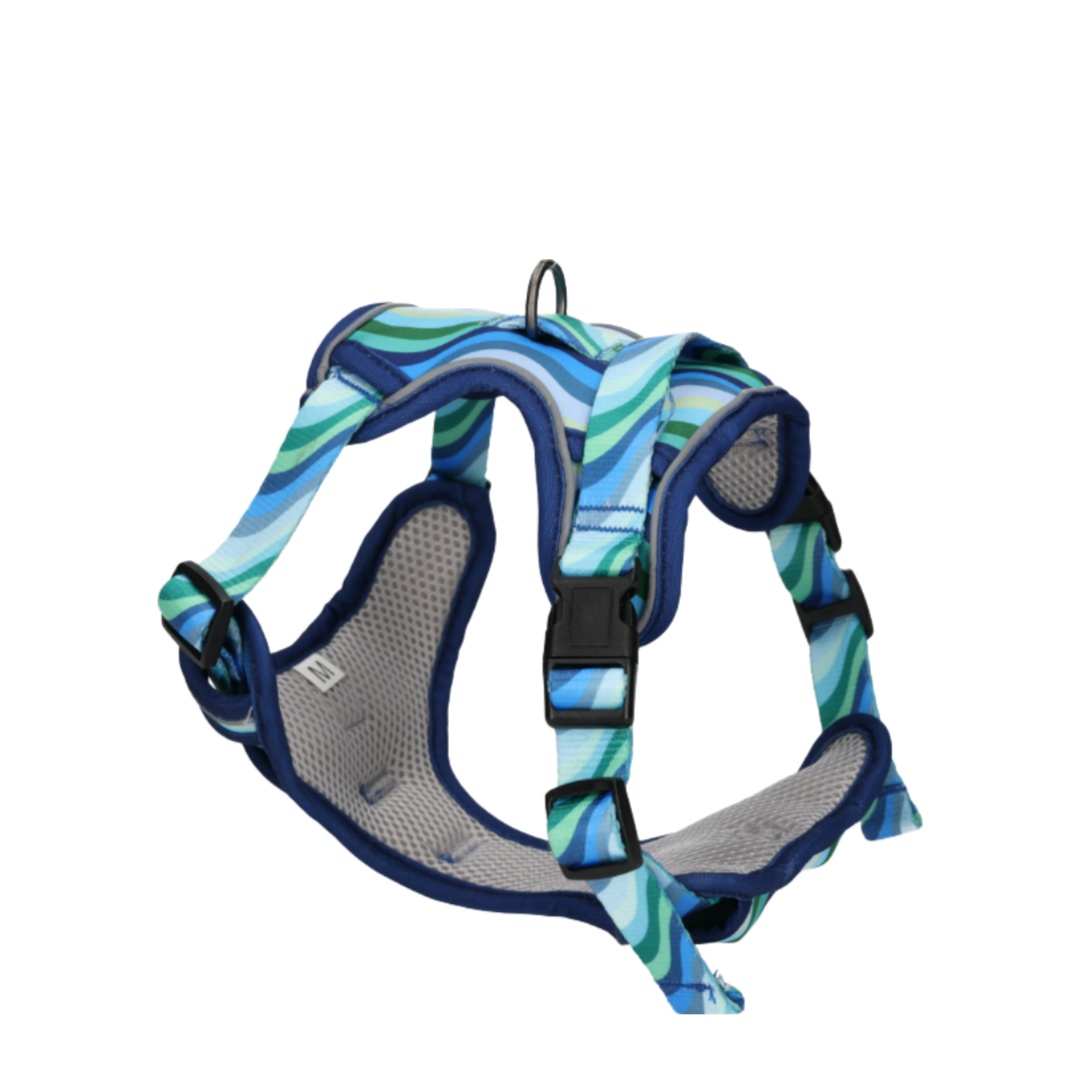 Rufus & Rosie Dog Harness & Lead Set Blue Wave, Small