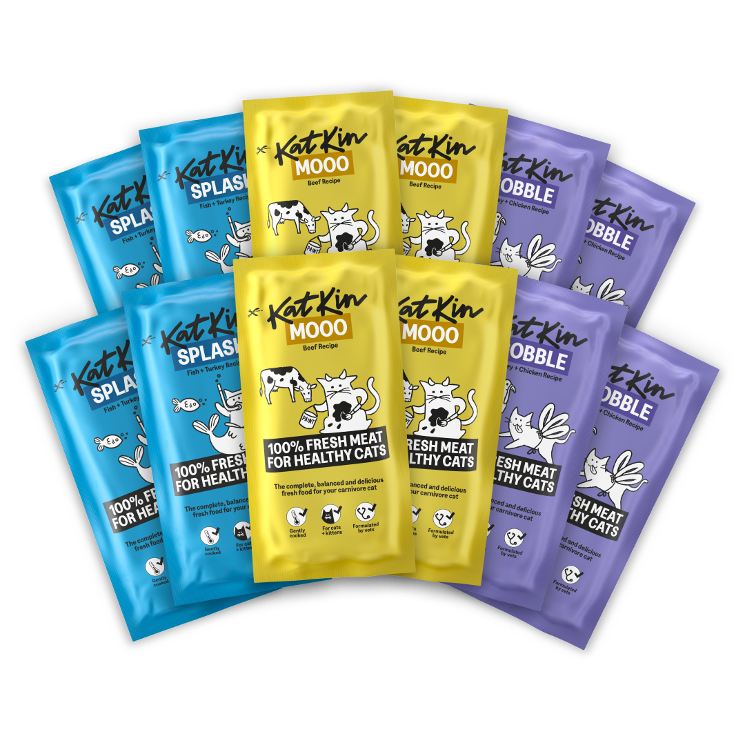 KatKin SURF & TURF Fresh Cat and Kitten Food, Variety Pack (Fish, Beef & Turkey) 12x80g