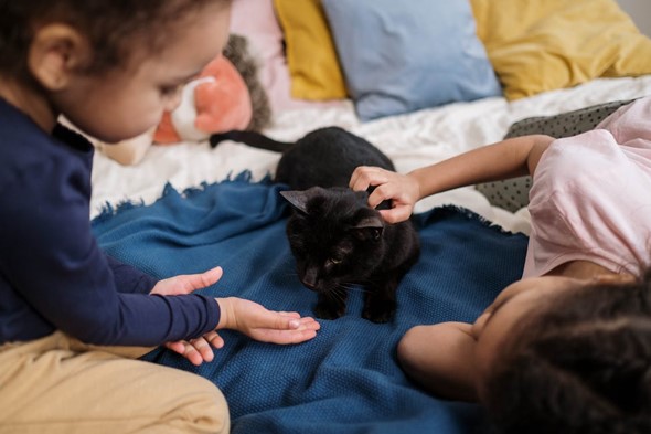 cat with children