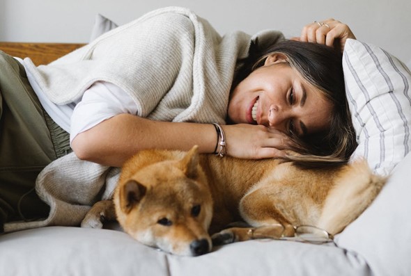 Shibu relaxing on the sofa with owner