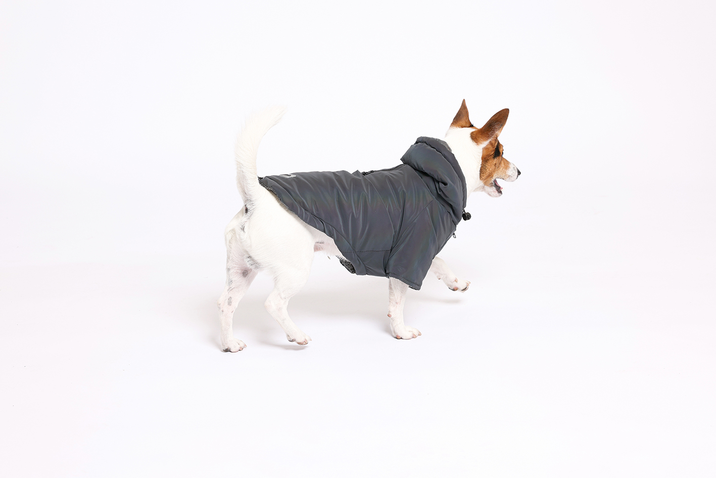Rufus & Rosie Padded Country Jacket Navy, S+
