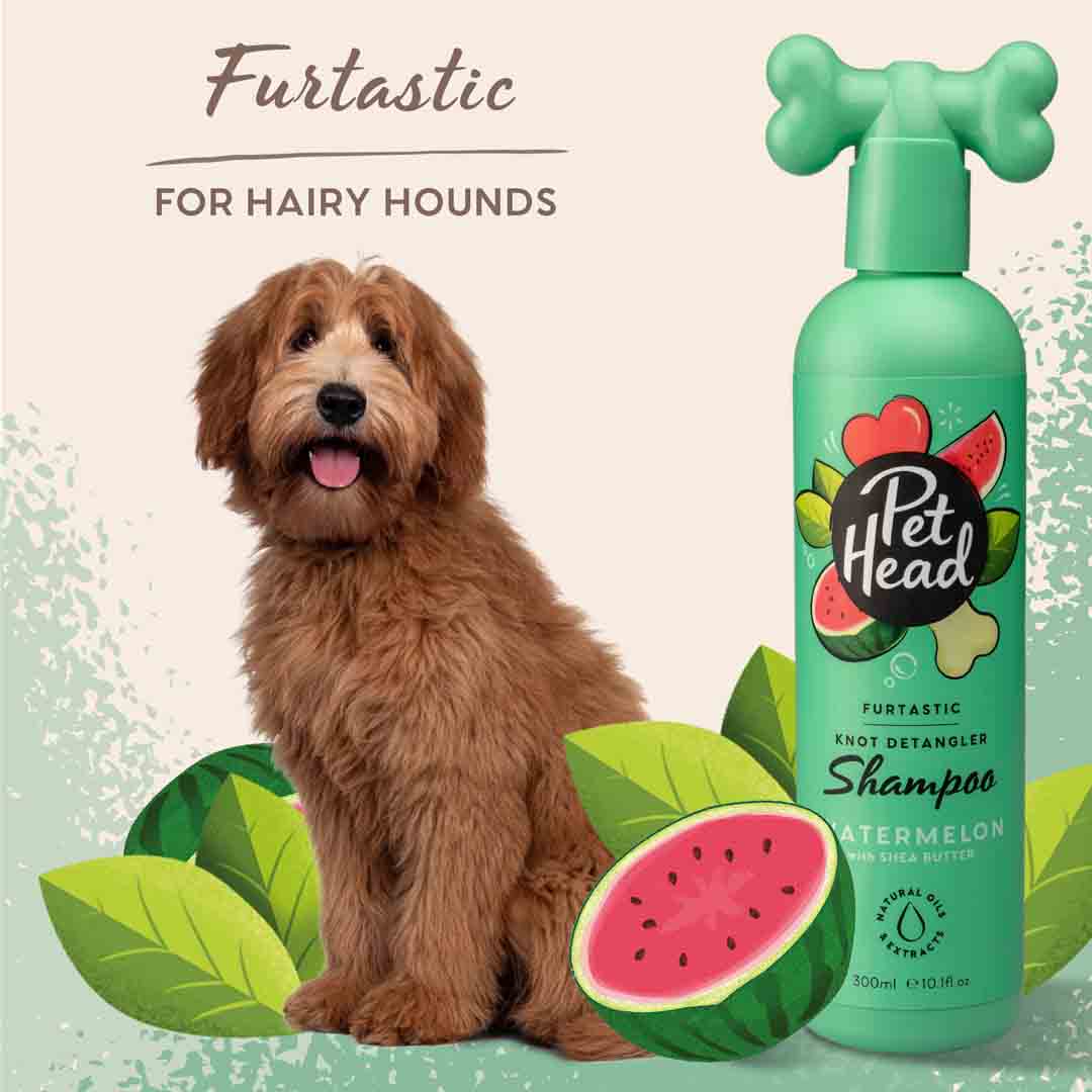 Pet Head Furtastic Dog Shampoo for Long & Curly Coats 300ml