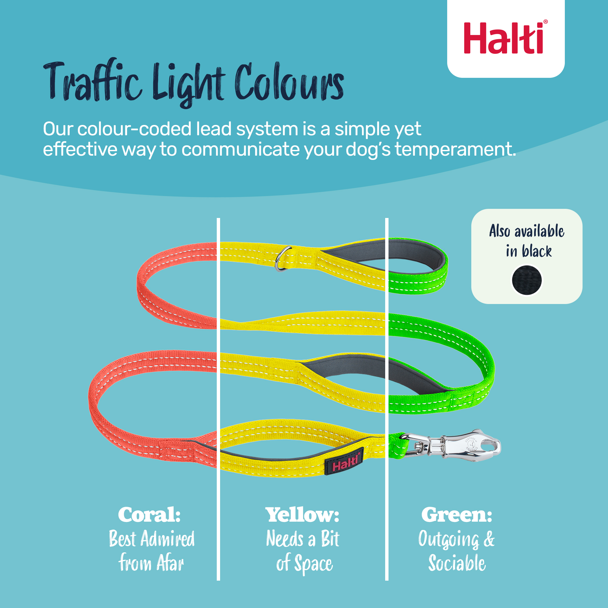 Halti BRIG Dog Safety Lead Neon Coral Large