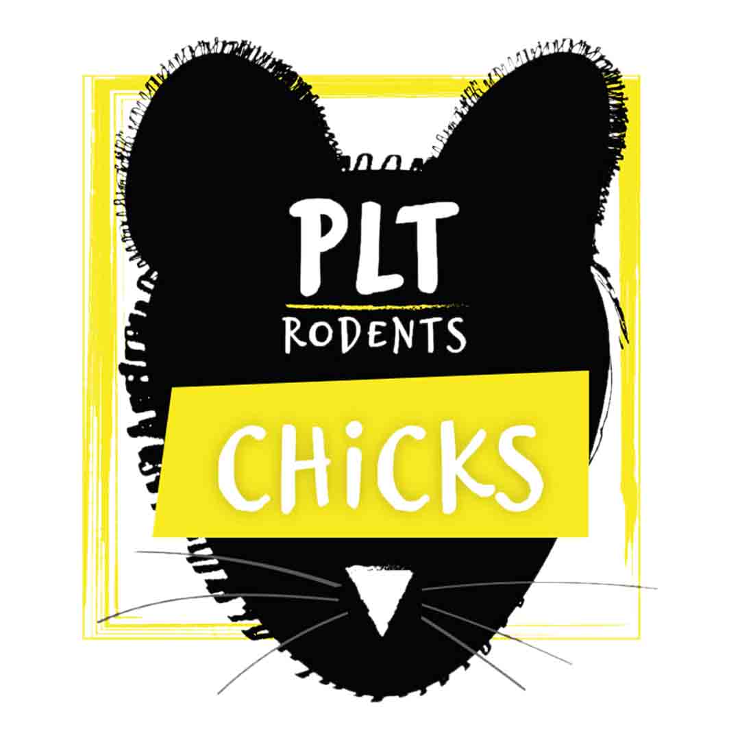 Peregrine PLT Frozen Chicks, Reptile Food