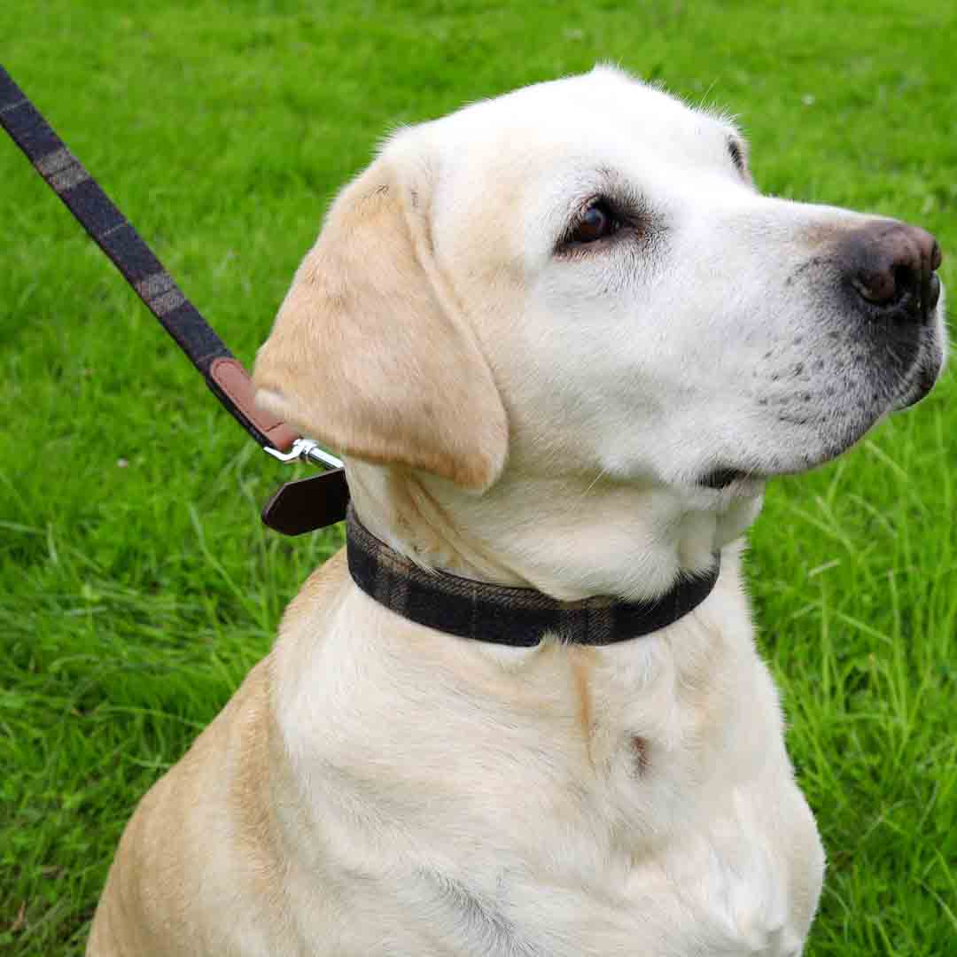 Tweed Check Dog Collar, 34-40cm