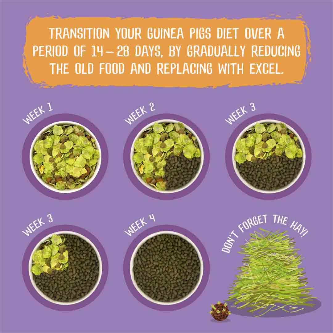 Excel Guinea Pig Food with Blackcurrant & Oregano, 1.5kg