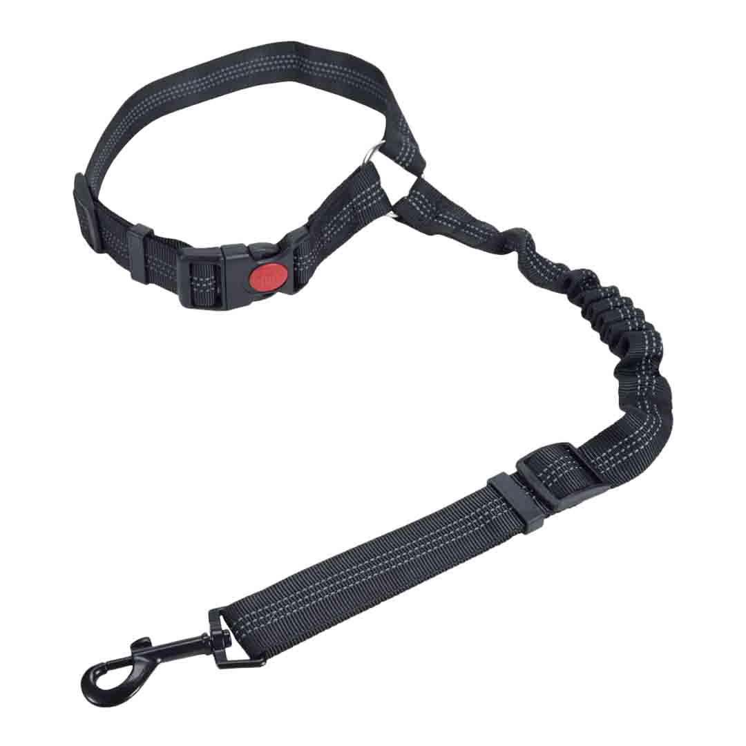 Rufus & Rosie Dog Car Headrest Restraint