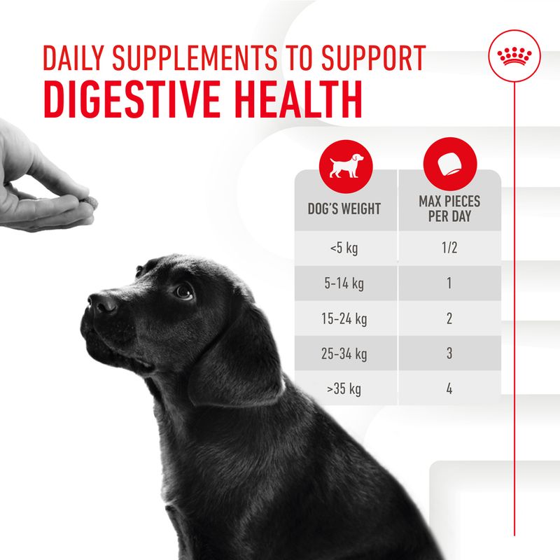Royal Canin Puppy Supplement for Immunity & Digestion Soft Chews