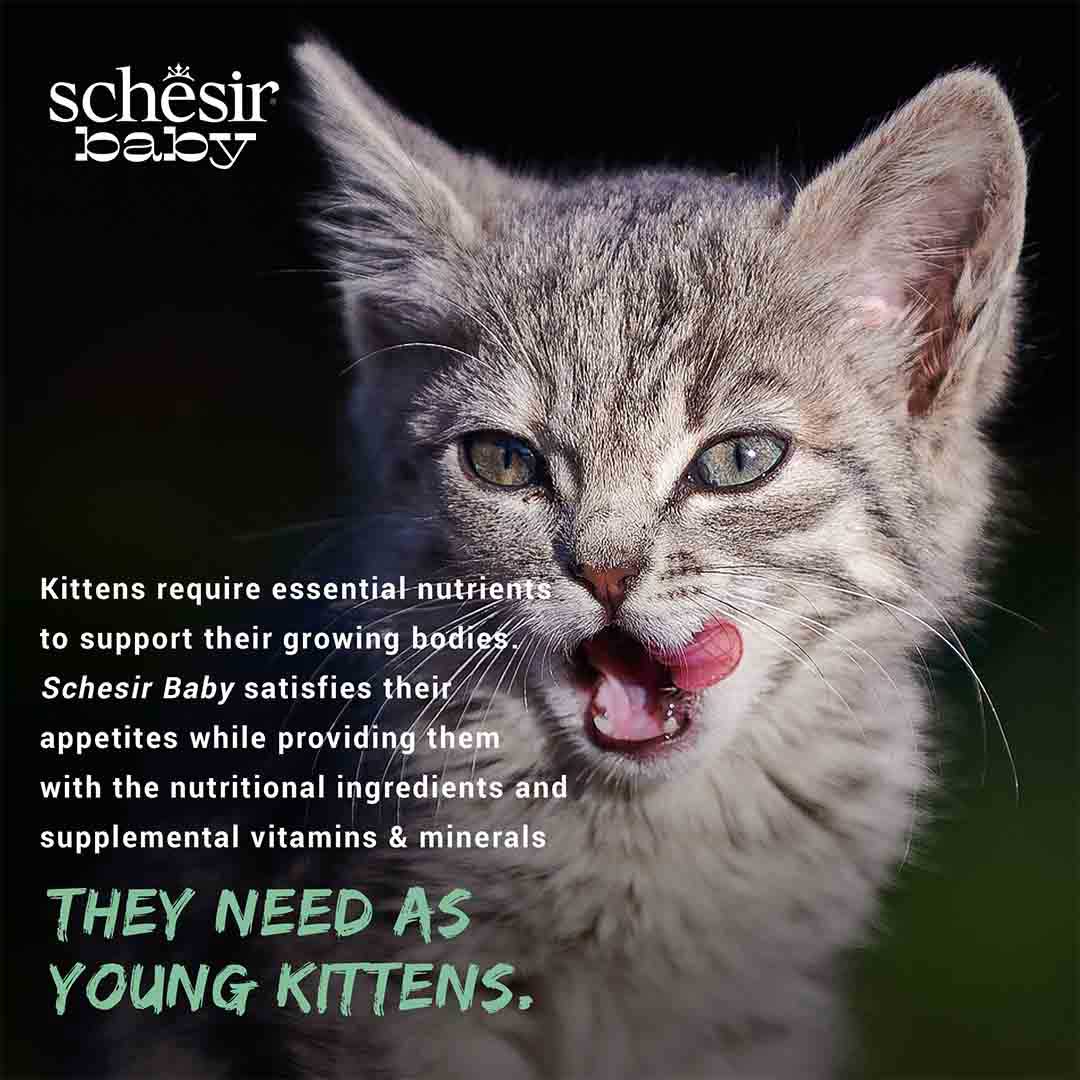 Schesir Complete and Balanced Wet Kitten Food Chicken in Mousse 70g