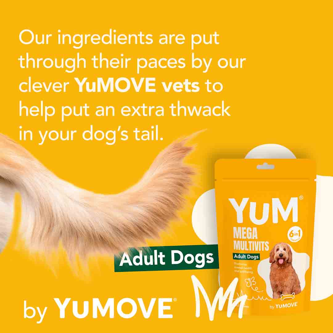 YuCARE Mega MultiVits Supplement for Adult Dogs