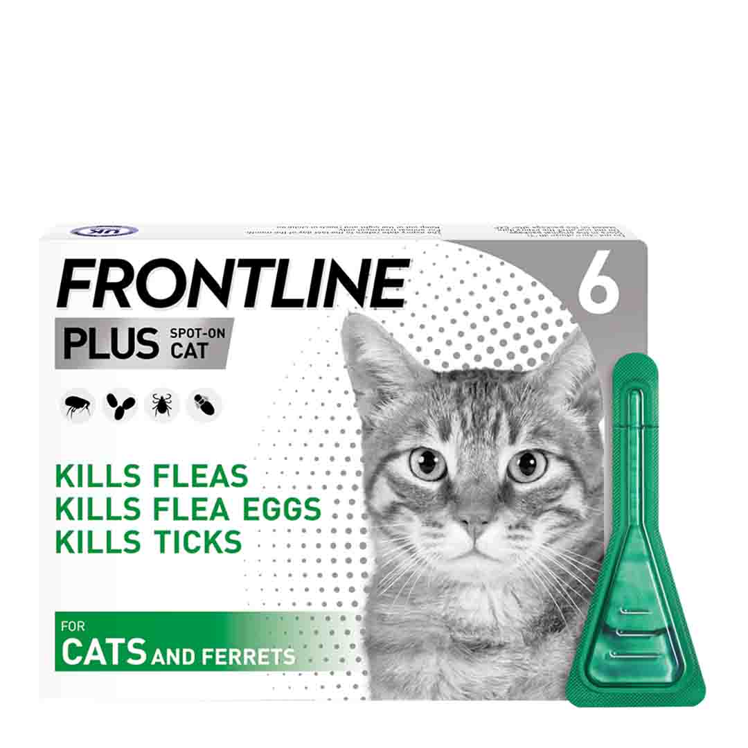 Frontline Plus Spot-On Flea & Tick Treatments for Cats and Kittens, 6 Pipettes