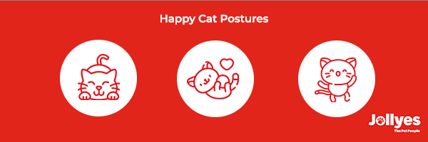 Image of examples of happy act postures