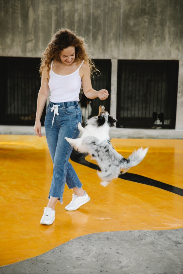How to Stop a Puppy From Jumping Up: Puppy Training Tips