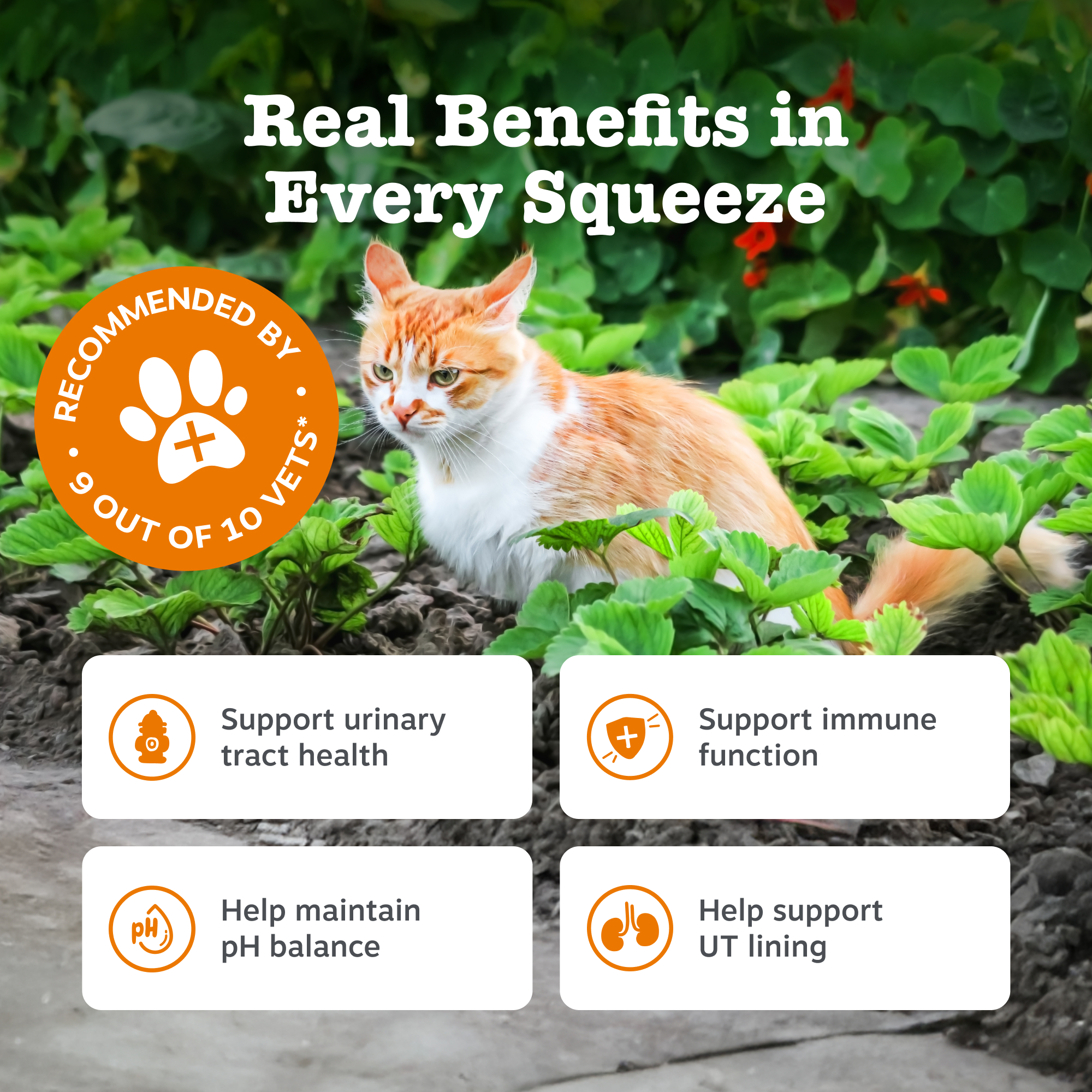 Zesty Paws Urinary Care Paste for Cats 120g