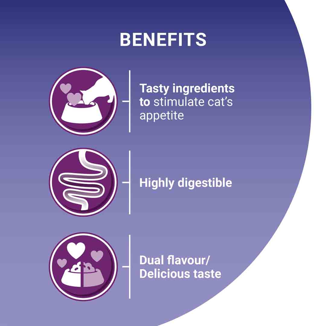 PURINA ONE Mini Fillets Selective Palate Wet Cat Food 8x85g