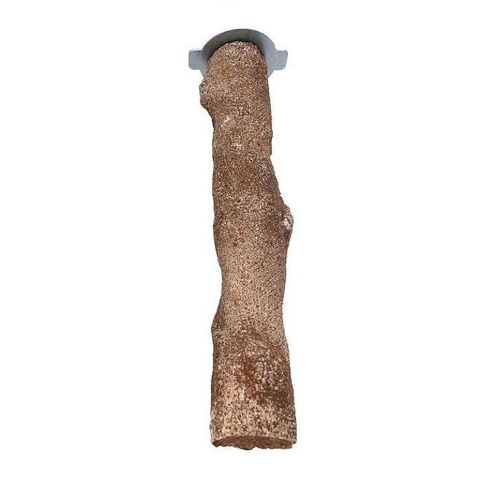 Sea Shell Wood Bird Perch Large