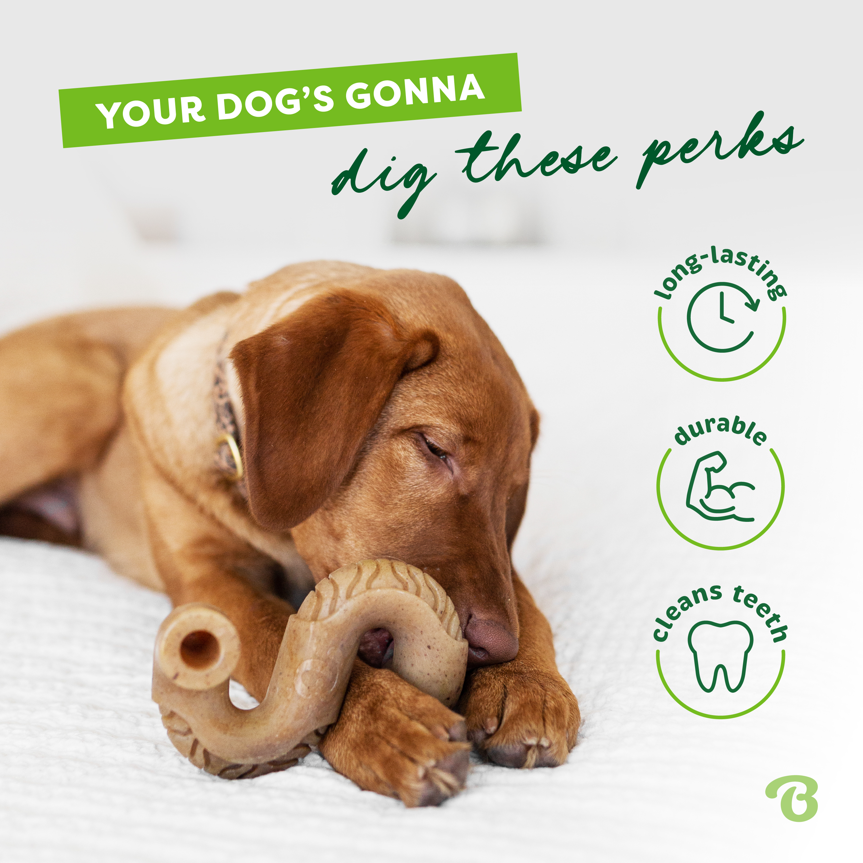 Benebone Tripe Bone Dog Toy Medium