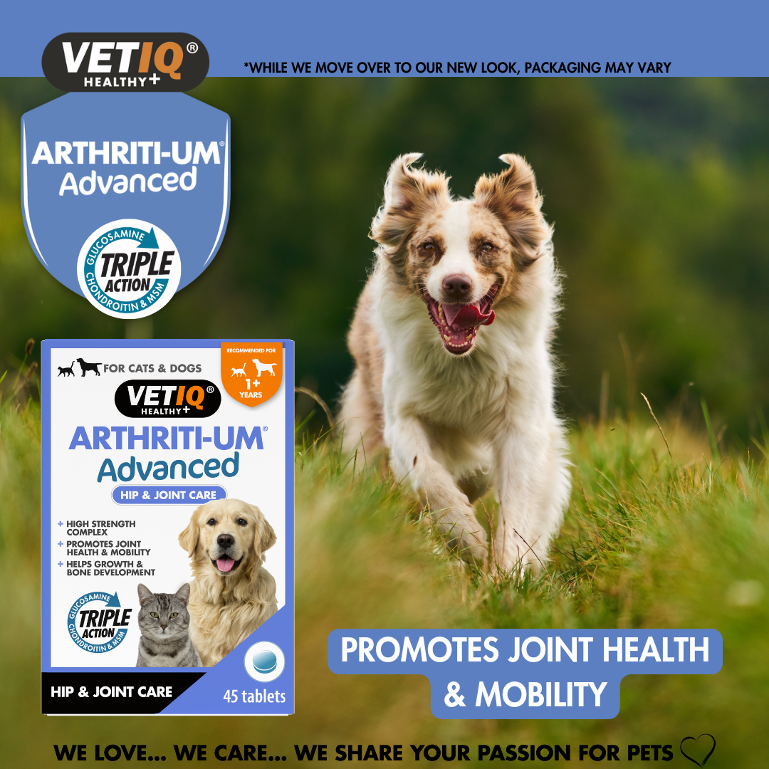 VetIQ Arthriti-UM Advanced for Cats and Dogs 45 tablets