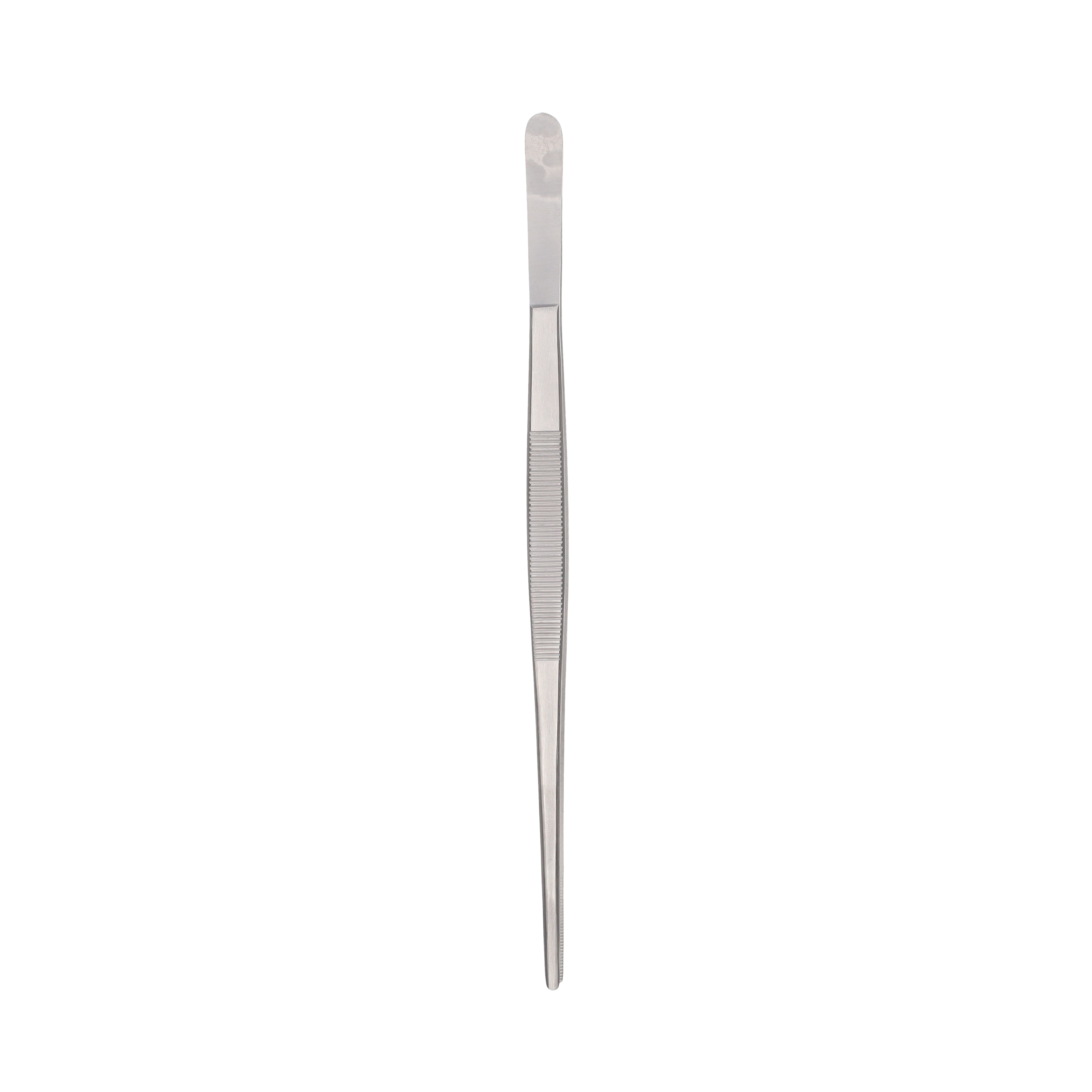 Zoo Med Stainless Steel Reptile Feeding Tongs, 10 Inches