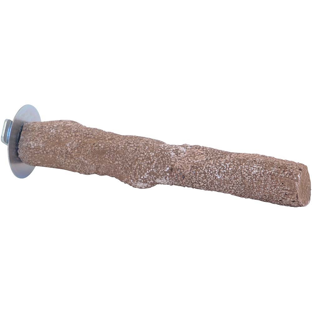 Sea Shell Wood Bird Perch Medium