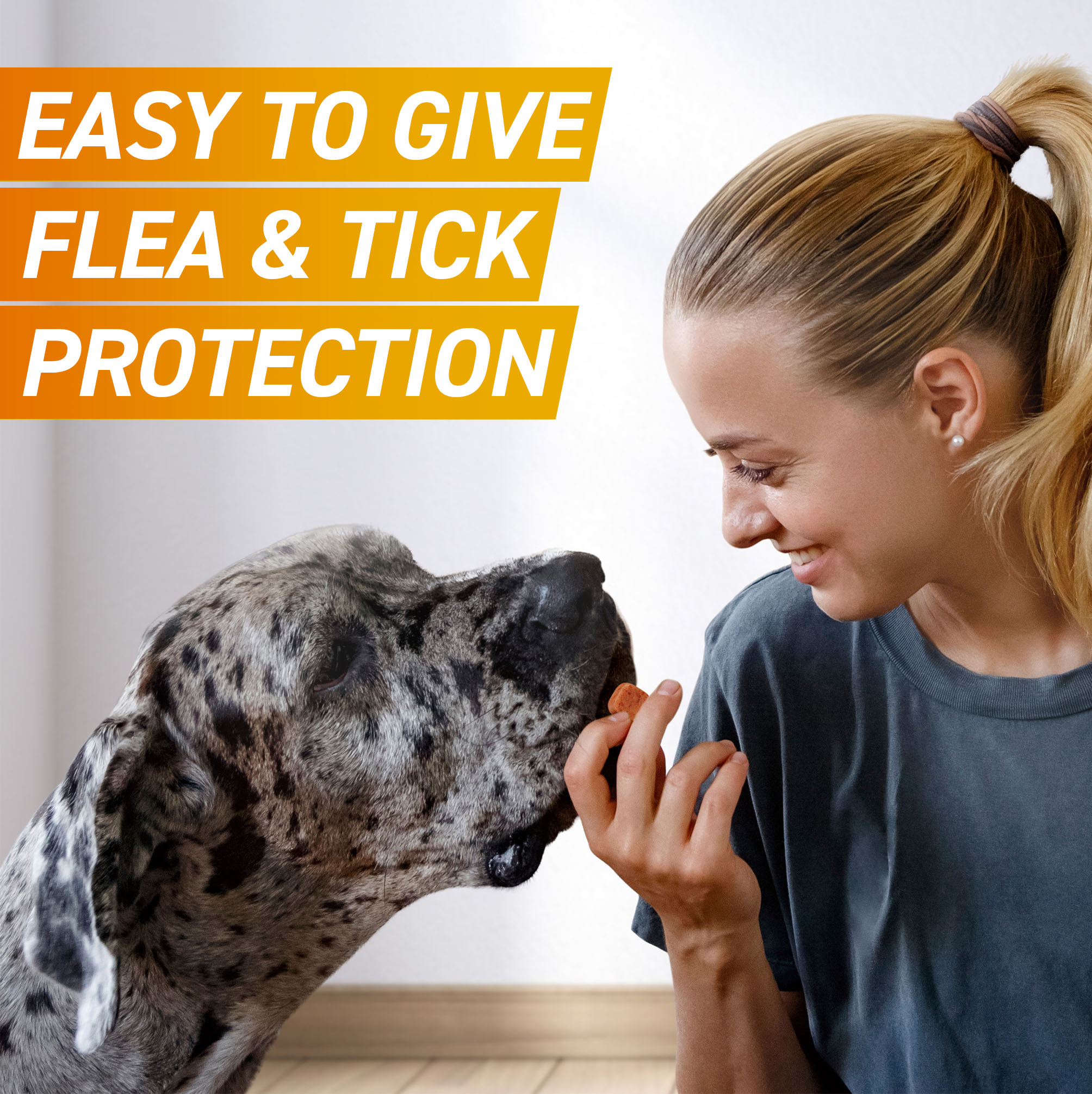 FRONTPRO® Chewable Tablets Flea & Tick Treatment for Medium Dogs 4-10kg, 3 Pack