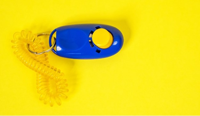 Clicker.