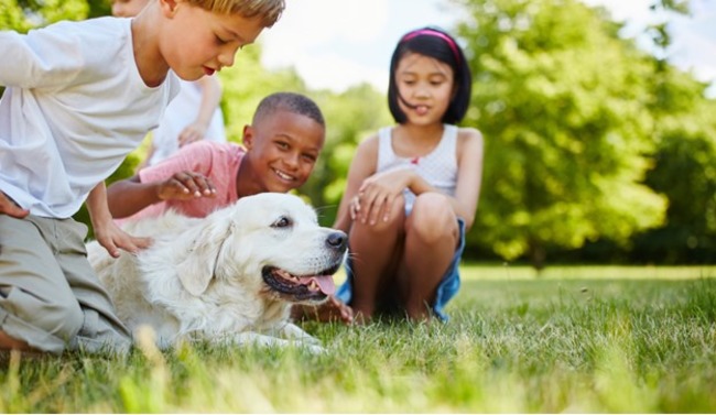 Children playing with dog.