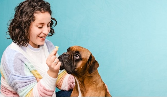 Owner giving their dog a treat.