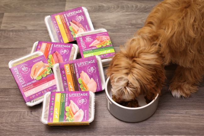 A fluffy brown dog eating from a bowl next to several packs of Lifestage dog food on a wooden floor.