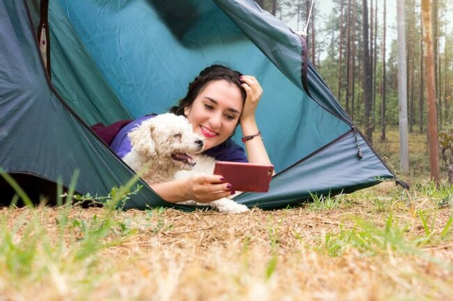 Camping with dog.