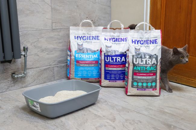 Which Cat Litter Is Best For My Pet?