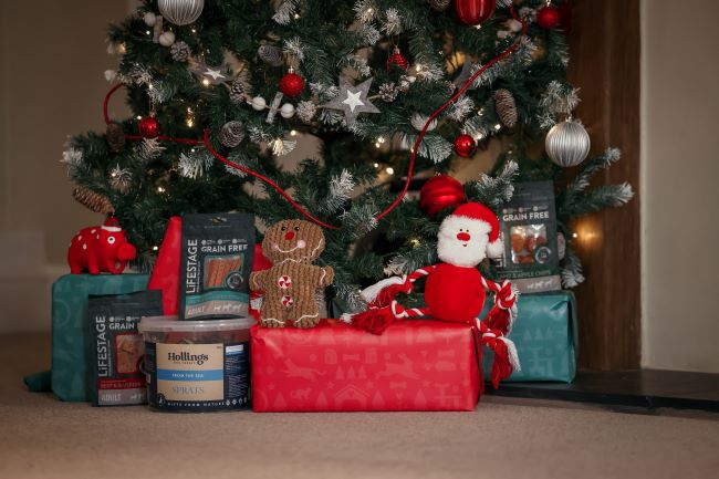 Christmas tree with presents underneath!