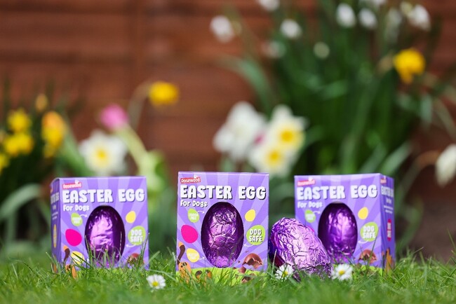 Easter eggs for dogs.